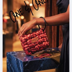 Metallic Clutch